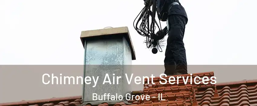  Chimney Air Vent Services Buffalo Grove - IL