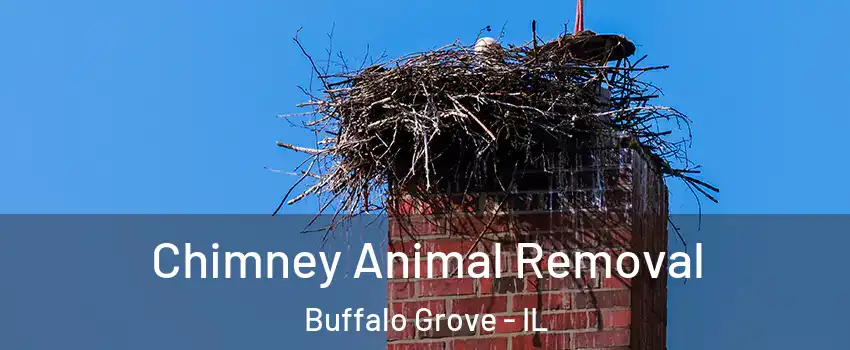 Chimney Animal Removal Buffalo Grove - IL