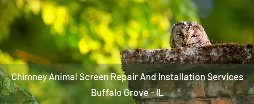  Chimney Animal Screen Repair And Installation Services Buffalo Grove - IL