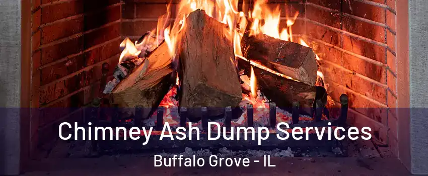  Chimney Ash Dump Services Buffalo Grove - IL