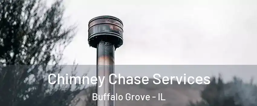  Chimney Chase Services Buffalo Grove - IL