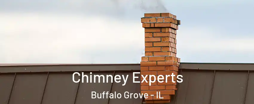 Chimney Experts Buffalo Grove - IL