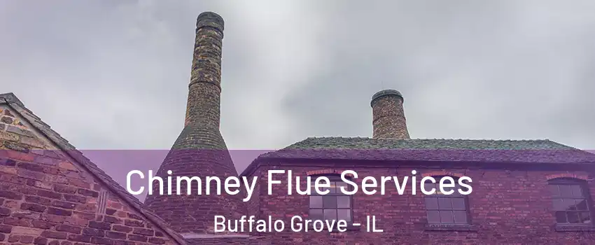  Chimney Flue Services Buffalo Grove - IL