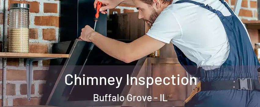  Chimney Inspection Buffalo Grove - IL