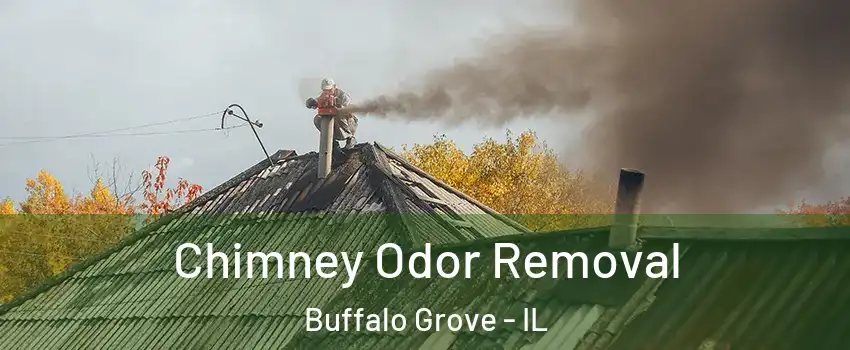  Chimney Odor Removal Buffalo Grove - IL