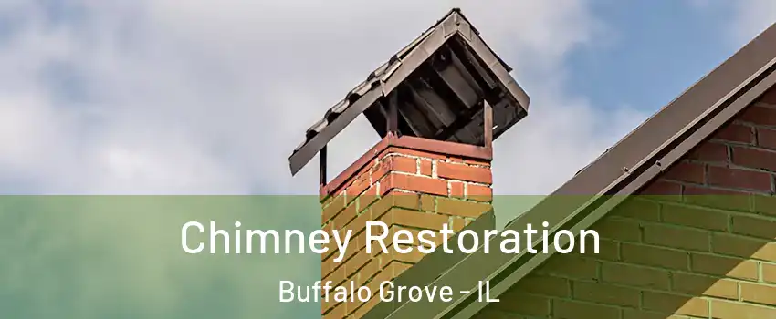  Chimney Restoration Buffalo Grove - IL