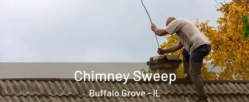  Chimney Sweep Buffalo Grove - IL