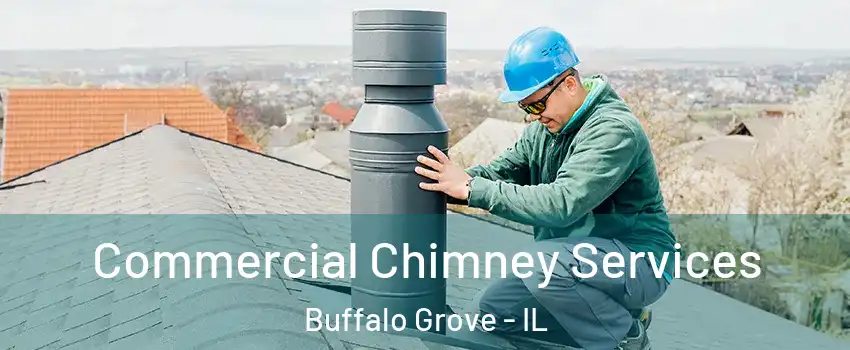  Commercial Chimney Services Buffalo Grove - IL