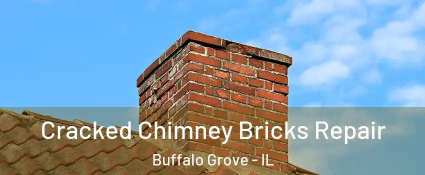  Cracked Chimney Bricks Repair Buffalo Grove - IL