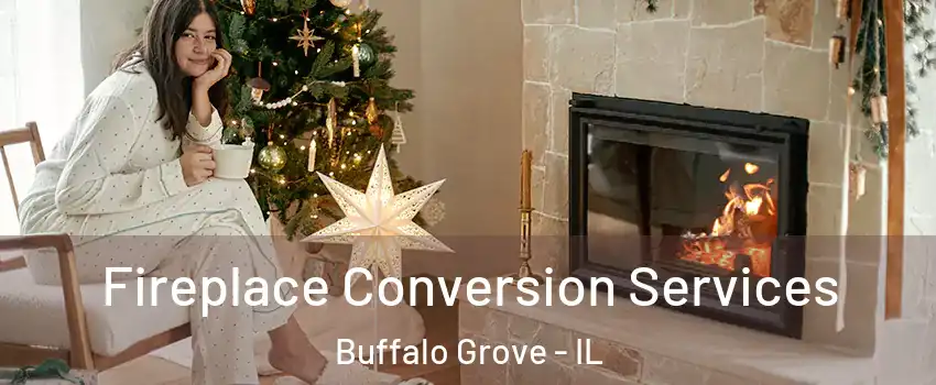  Fireplace Conversion Services Buffalo Grove - IL