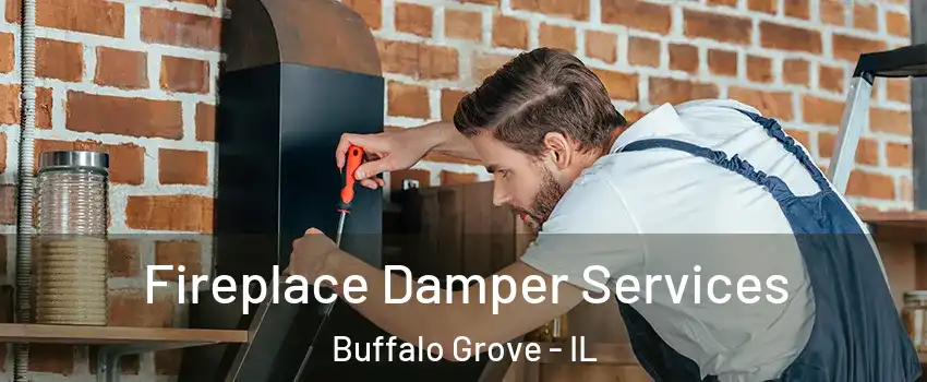  Fireplace Damper Services Buffalo Grove - IL
