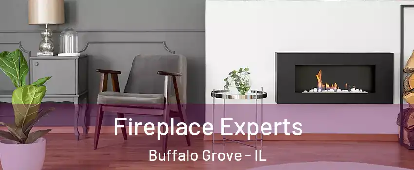  Fireplace Experts Buffalo Grove - IL