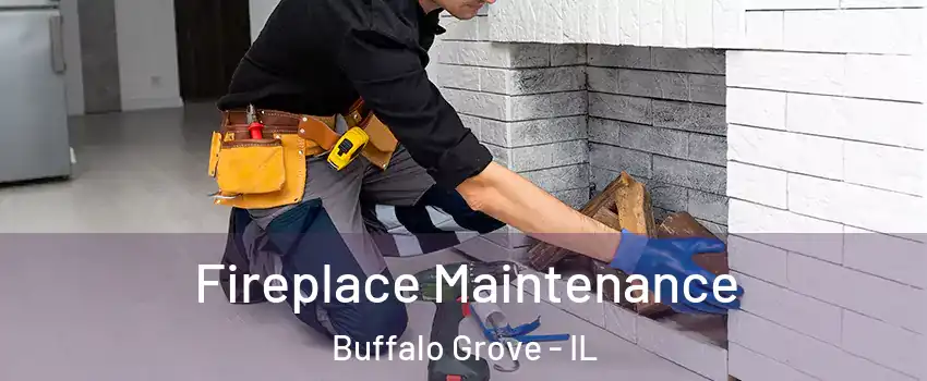  Fireplace Maintenance Buffalo Grove - IL