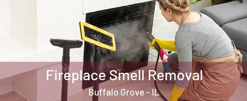  Fireplace Smell Removal Buffalo Grove - IL