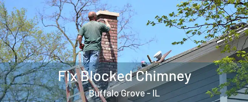  Fix Blocked Chimney Buffalo Grove - IL