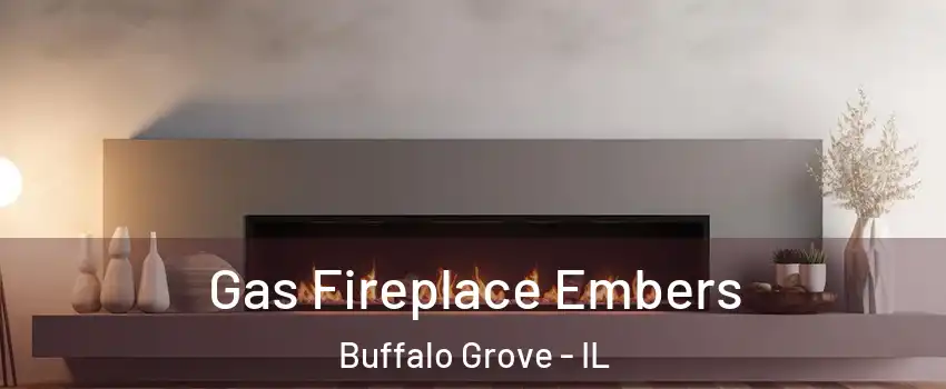  Gas Fireplace Embers Buffalo Grove - IL