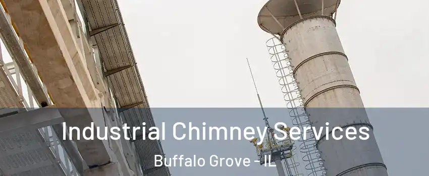  Industrial Chimney Services Buffalo Grove - IL