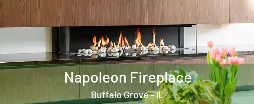 Napoleon Fireplace Buffalo Grove - IL